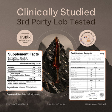 HUNY Bee Energized Shilajit Honey Sticks
